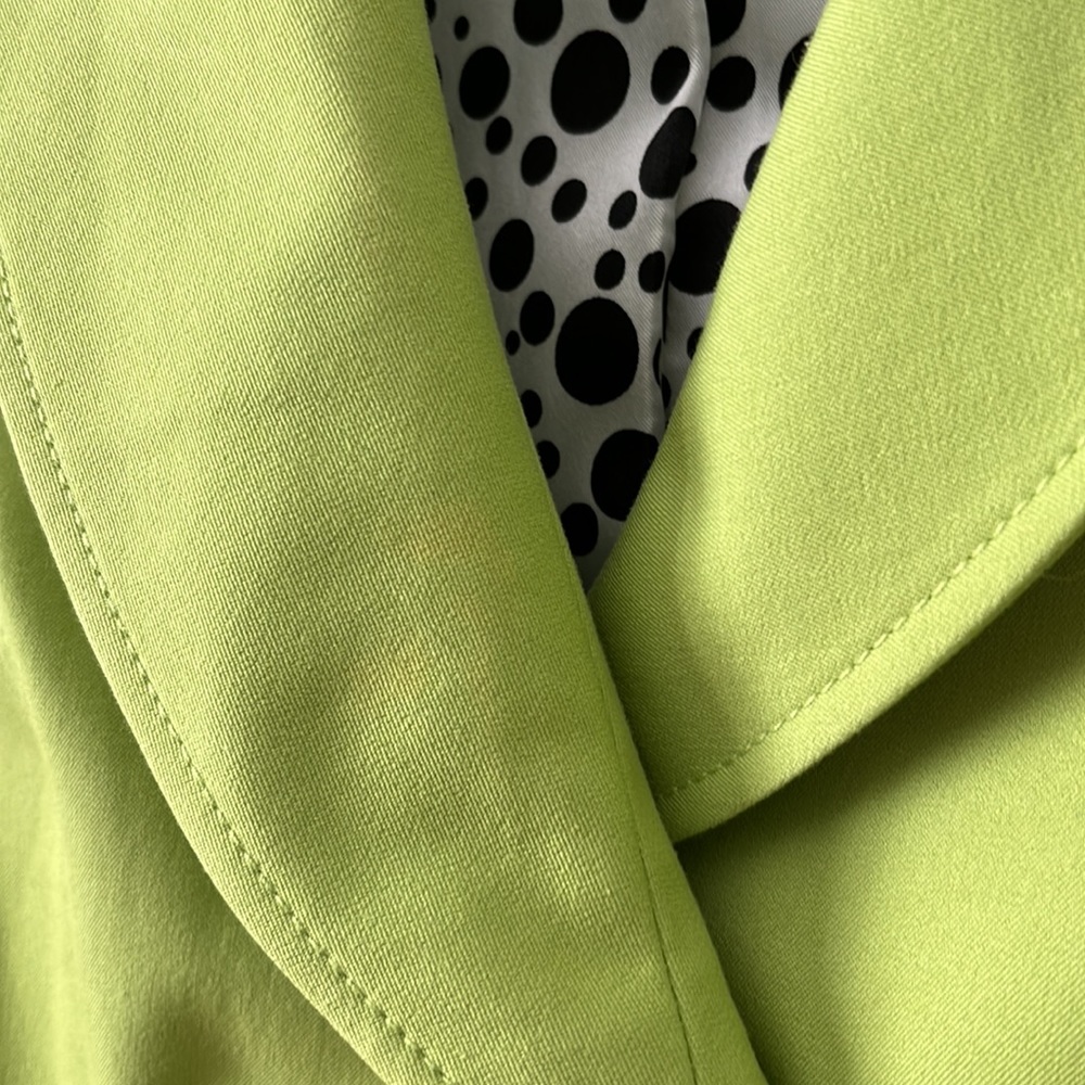 TaHARI ARTHURT S. LEVVINE petite 4P - Picture 5 of 12